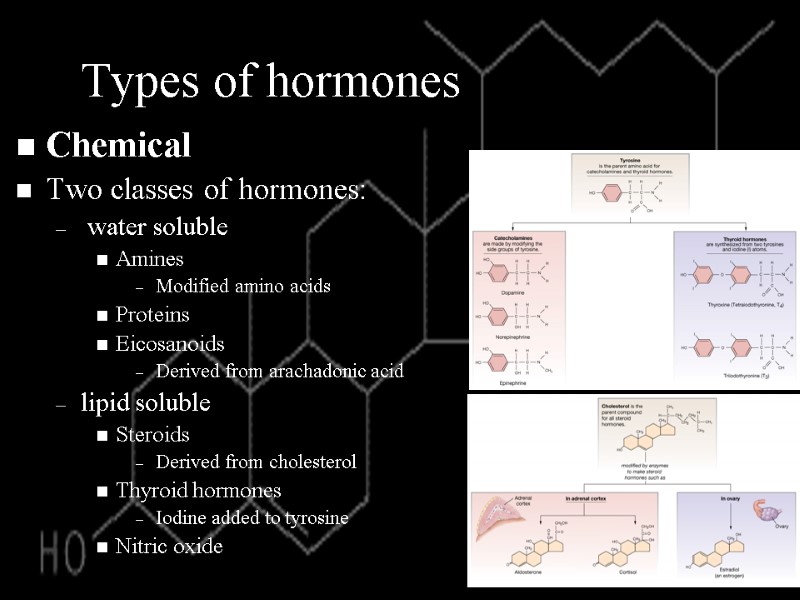 Types of hormones Chemical Two classes of hormones:  water soluble Amines Modified amino